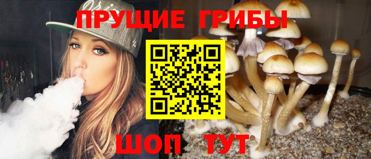 Псилоцибиновые грибы MAGIC MUSHROOMS  Вход с VPN  Нефтекумск 